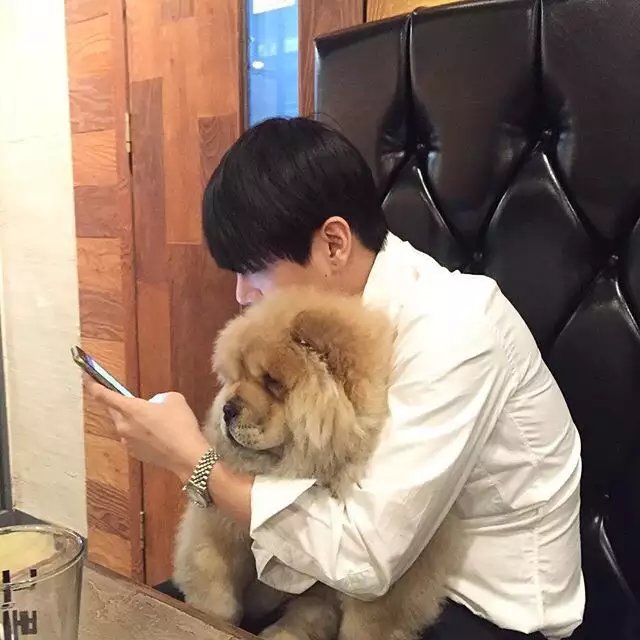 向强峰会