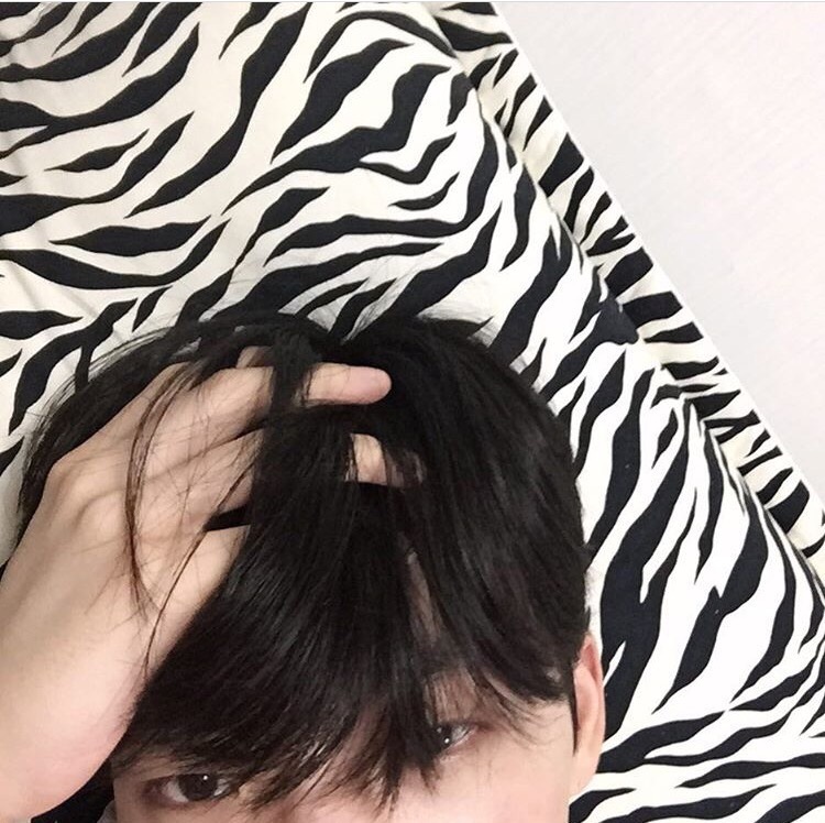 广影柔仪