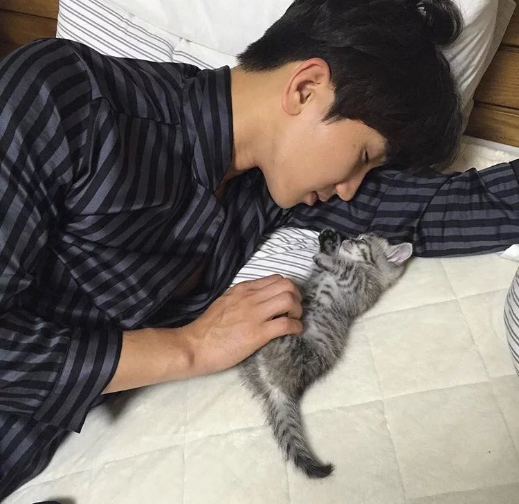 淳于婵诚爱