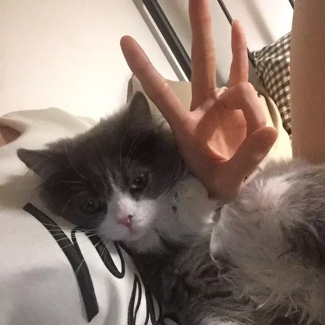 姜雄江超