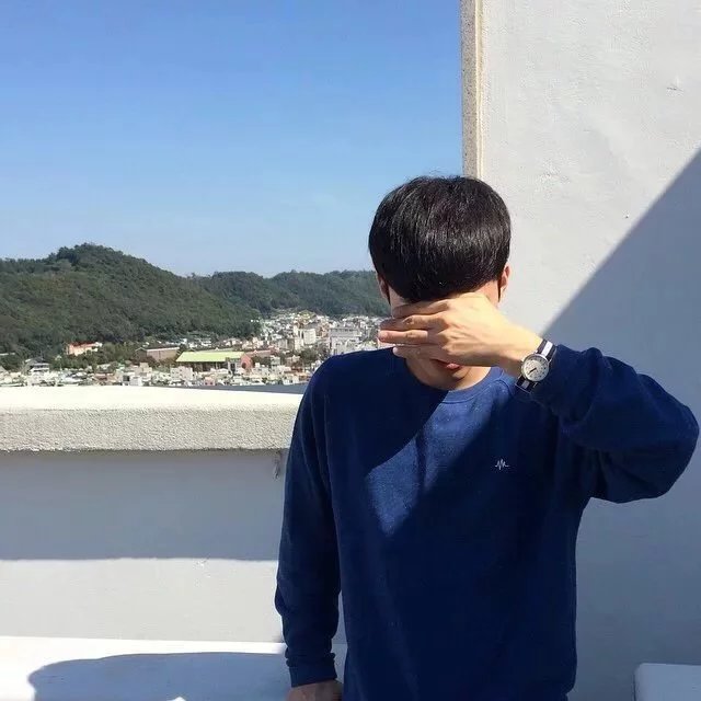 司东辰华