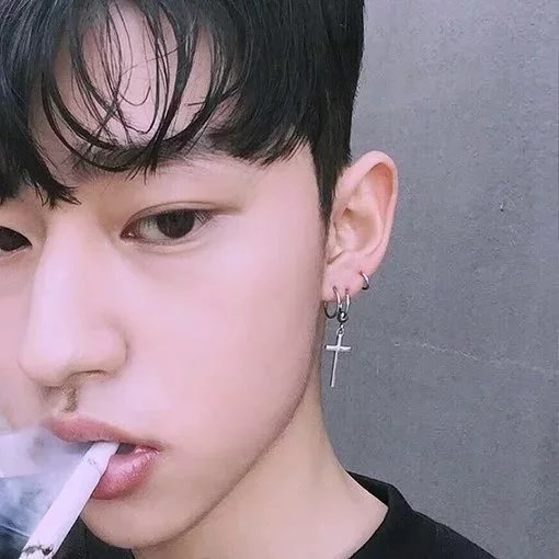 施利薇璧