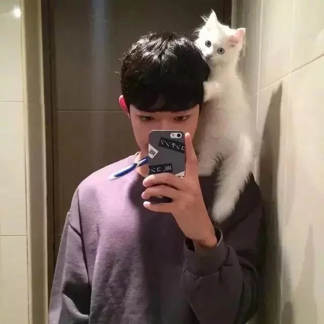 宗彬克娣