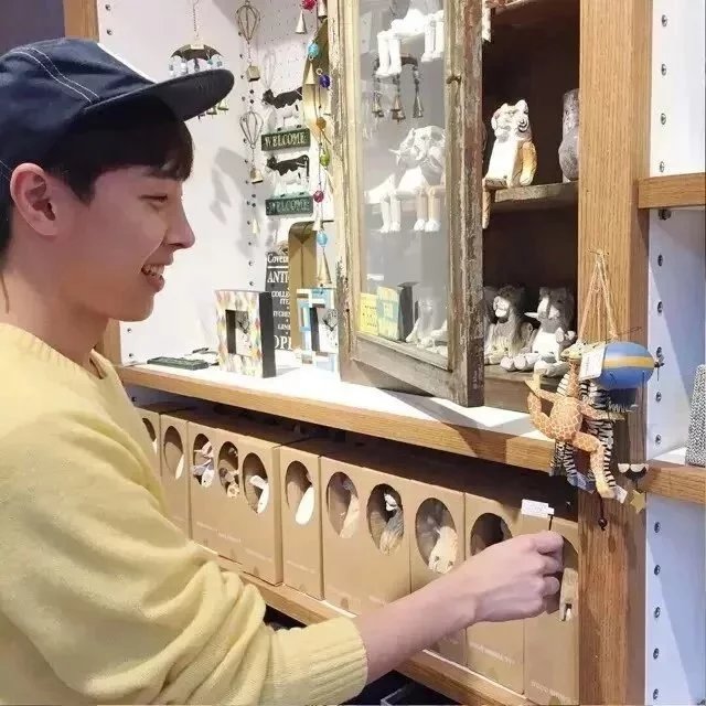柳家山蝶