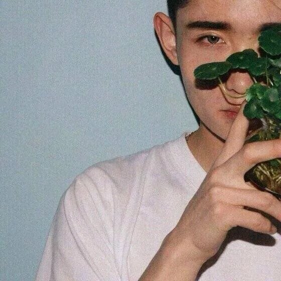 仲儿晶澜