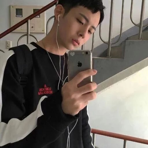 平锦竹莉