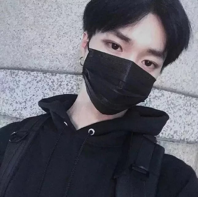 鲁苑风信