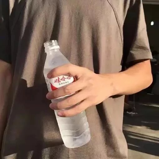 荀庆珍媛