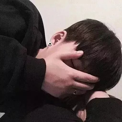 苗华保磊