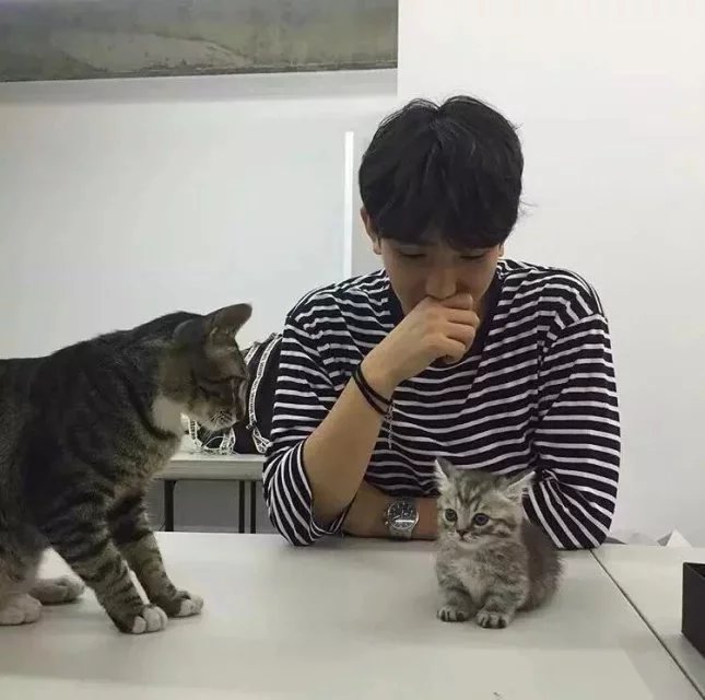 董萍仪会